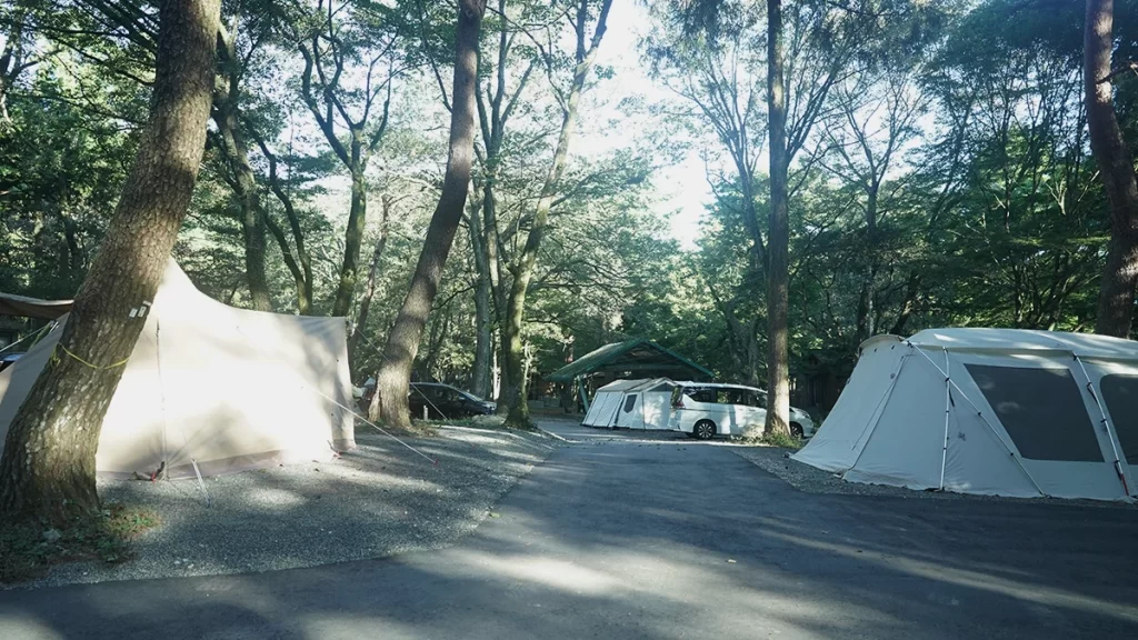 サイト付近に車両乗り入れが可能